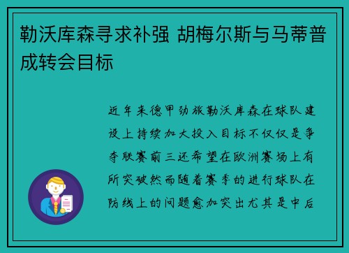 勒沃库森寻求补强 胡梅尔斯与马蒂普成转会目标